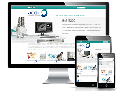 website picture